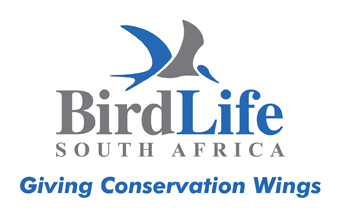 Official scientific journal of BirdLife South Africa