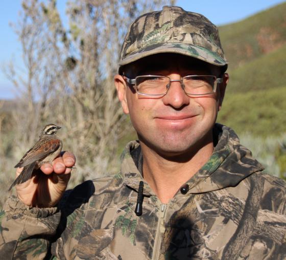 New Editor- Ostrich: Journal of African Ornithology