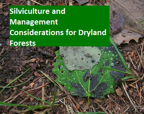 Silviculture and Management Considerations for Dryland Forests
