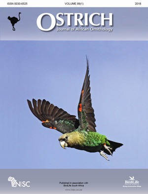 Ostrich &ndash; Best student paper