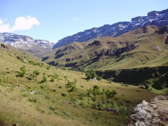 Montane Rangelands in a Changing World 