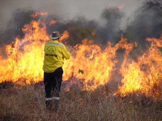 Lessons from a century of evidence-based fire management