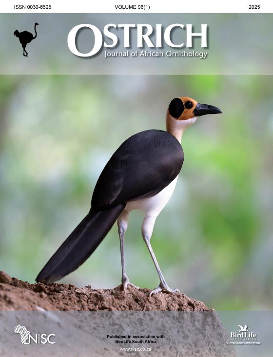 Trend and Population Size of White-necked Rockfowl