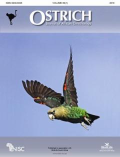 Ostrich &ndash; Best student paper